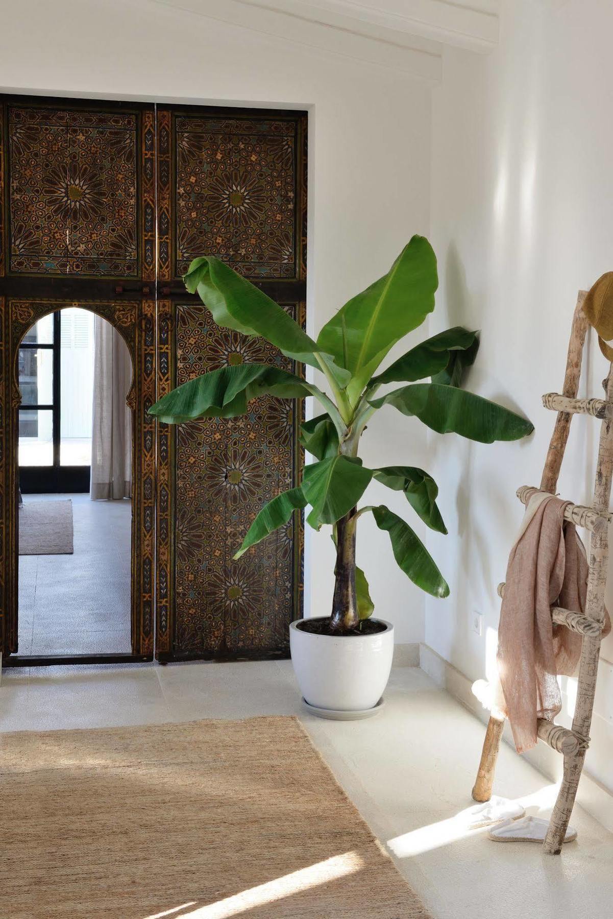 Cal Reiet Holistic Retreat Santanyí Exterior foto